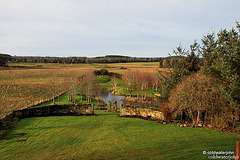 Pond Garden from the apex of the barn roof!