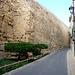 Roman City Wall
