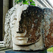 angel head, new st.pancras churchyard, woburn place, london