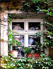 Alte Fenster und Türen 017