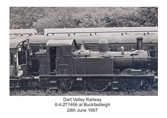 Former Great Western Railway 0-4-2T 1466 at Buckfastleigh 28.7.1967