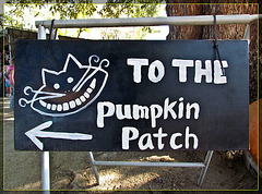 To the Pumpkin Patch