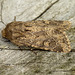 Possibly Flounced Rustic