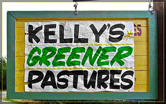 Kelly's Greener Pastures
