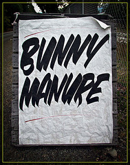 Bunny Manure