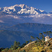 Kanchenjunga Above the Clouds