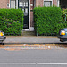 1991 Volvo 440 DL & 1987 Volvo 240 GLT