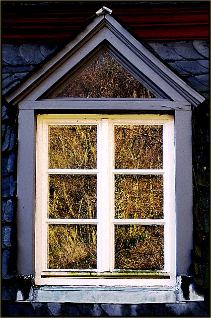 Alte Fenster und Türen 058