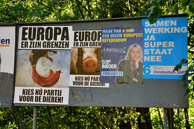 European elections