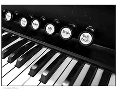 Organ Keys black and white