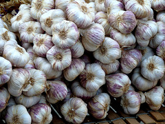 Garlic in Souillac Market