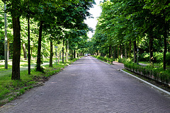 Scheveningseweg (Scheveningen Road)