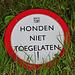 Oldtimershow Hoornsterzwaag – No dogs allowed