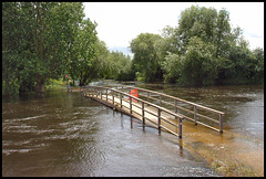 summer flood at Medley