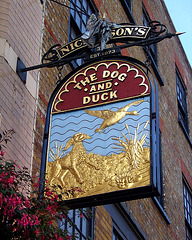 'The Dog and Duck'