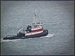 GGB: Tugboat in the Bay