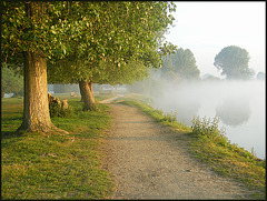morning mist on the Thames