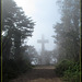 Mt. Davidson Cross Disappearing into the Fog
