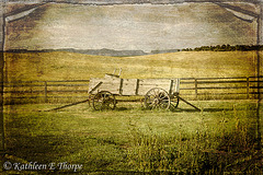 Conestoga Wagon - Lenabem Texture - Flickr Explore 11/08/11 #322