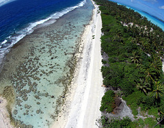 The reef in Bora Bora
