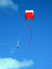 A kite, a camera and Bora ...