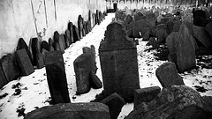 Prague Jewish Cemetery 5