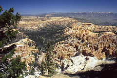 Bryce Canyon #7