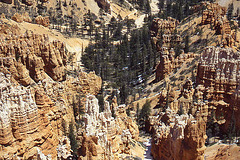 Bryce Canyon #9