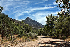 Huachuca Canyon