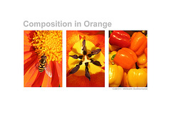 Composition in Orange 12x8