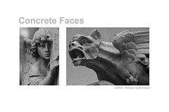 Concrete Faces 12x8