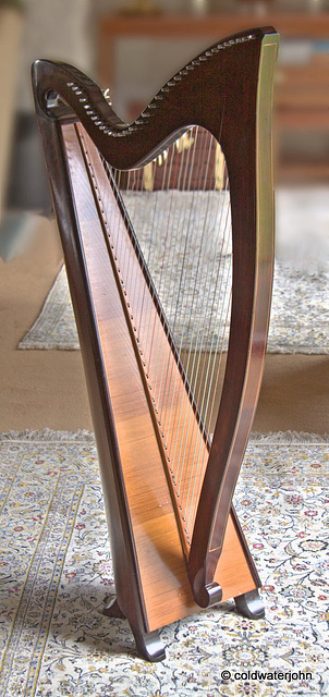 Harpist in Residence...