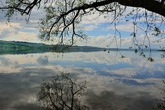 Reflets au lac de Sempach...