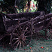 Kauai Kilohana Old Cart