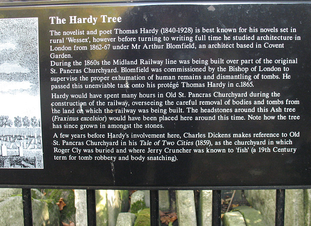 Hardy Tree Sign