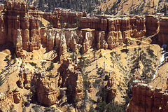 Bryce Canyon Hoodoos #2