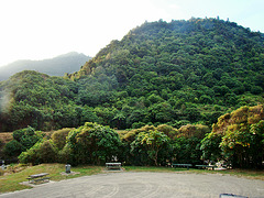 D.O.C. campsite in Waioeka Gorge 3