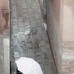 Umbrella 1 cropped