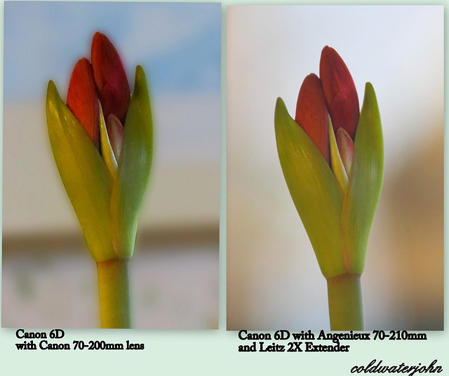Comparing Canon 70-200mm f2.8 vs. Angeniuex 70-210mm f3.5