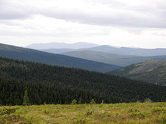View from 12 Mile Summint