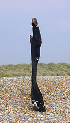 Driftwood sculpture