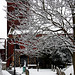 Guildford Holy Trinity 1 Snow LX2
