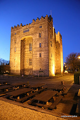 Eire - Bunratty Castle at night
