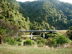 From our campsite in the Waioeka Gorge