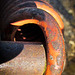Rusty Spring with Contrasting Light
