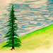 Lonesome pine