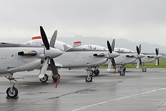 Irish Air Corps PC-9Ms