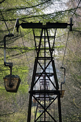 Ropeway in the woods