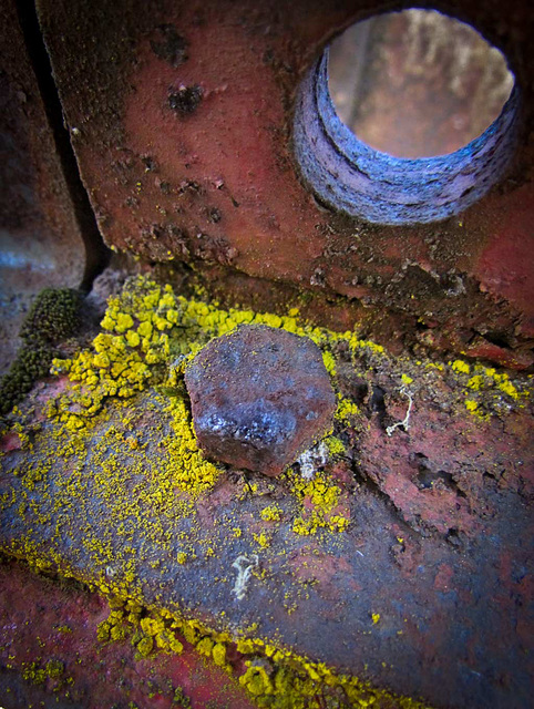 Rusty Bolt, Hole, and Green Mold