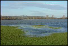 January flood